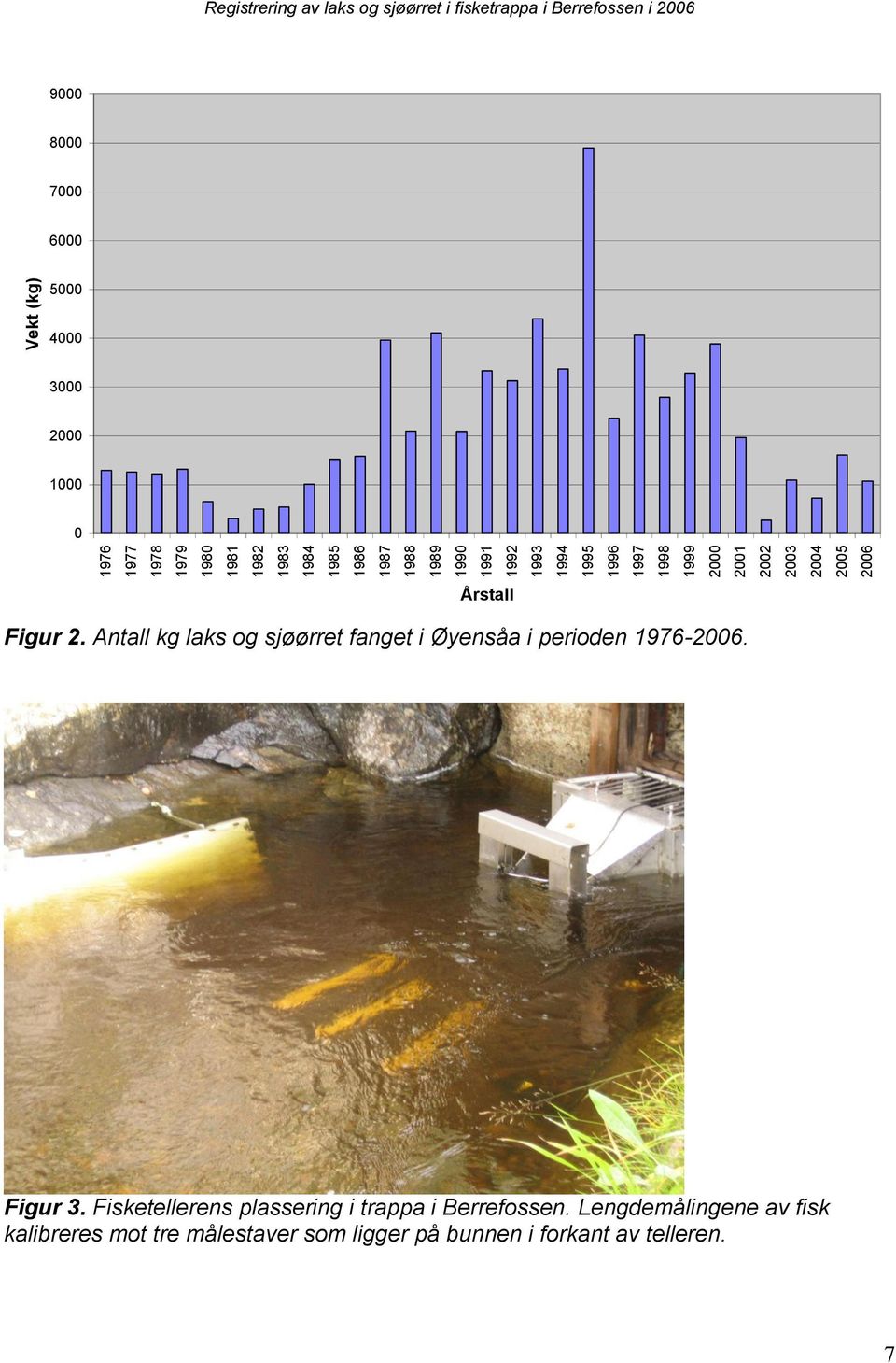 4000 3000 2000 1000 0 Årstall Figur 2. Antall kg laks og sjøørret fanget i Øyensåa i perioden 1976-2006. Figur 3.