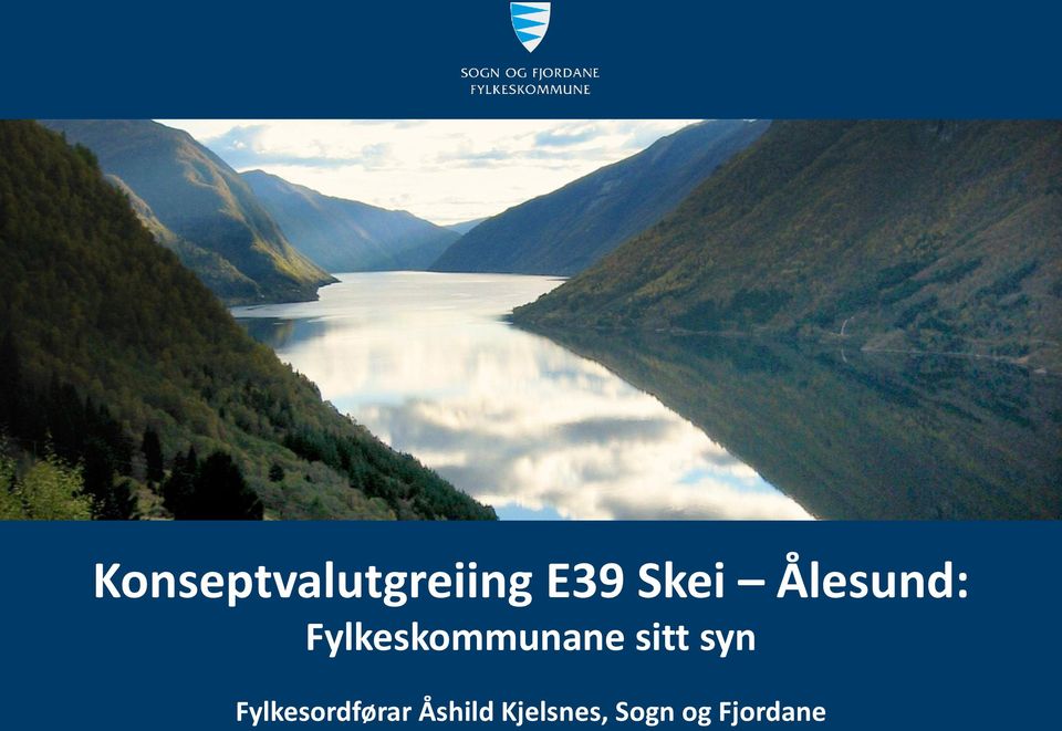 Fylkeskommunane sitt syn