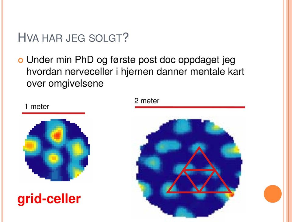 oppdaget jeg hvordan nerveceller i