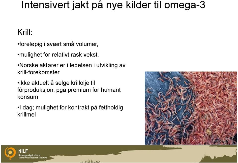 Norske aktører er i ledelsen i utvikling av krill-forekomster ikke aktuelt å