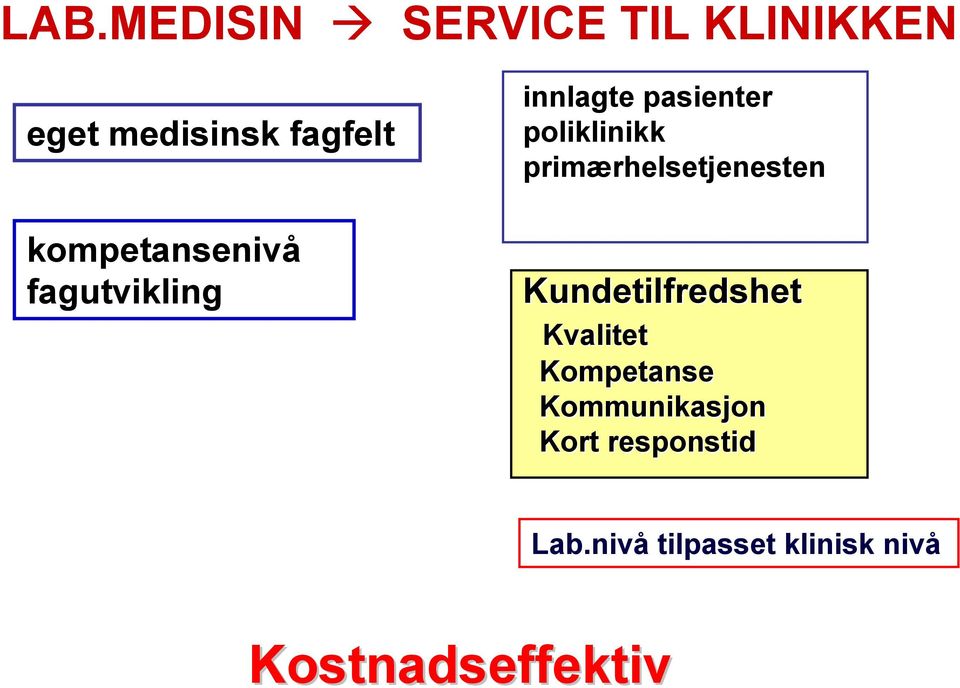 pasienter poliklinikk primærhelsetjenesten kompetansenivå