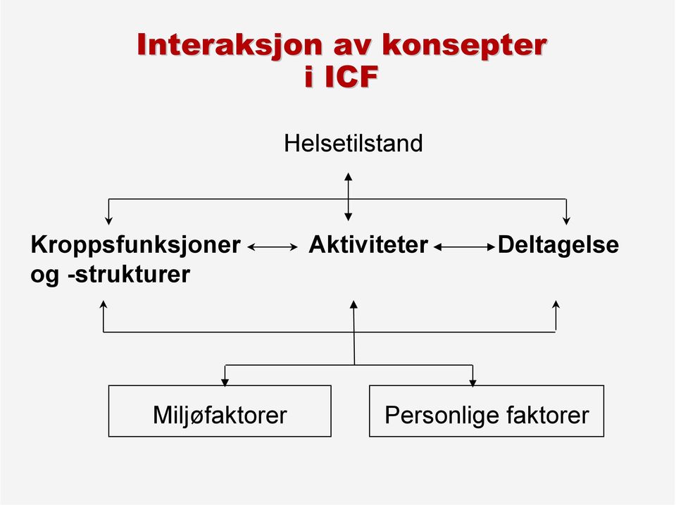 Aktiviteter og -strukturer