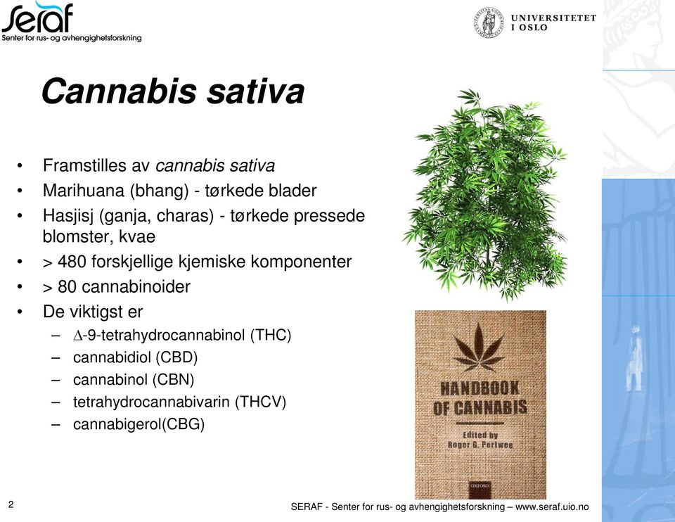 cannabinoider De viktigst er -9-tetrahydrocannabinol (THC) cannabidiol (CBD) cannabinol (CBN)