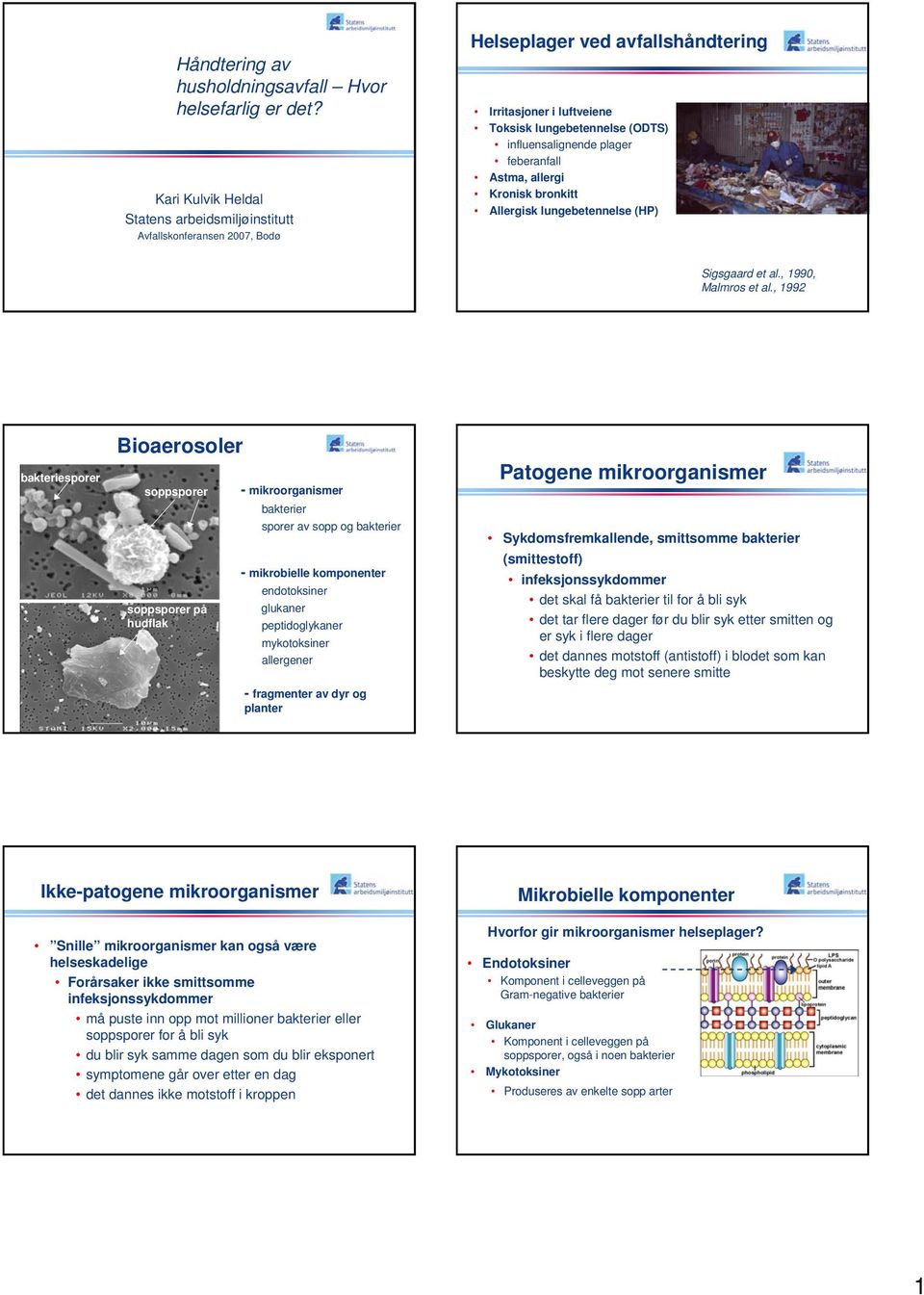 feberanfall Astma, allergi Kronisk bronkitt Allergisk lungebetennelse (HP) Sigsgaard et al., 99, Malmros et al.