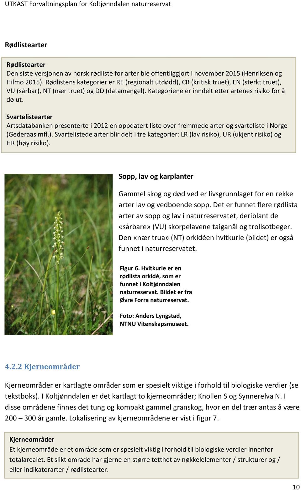 Svartelistearter Artsdatabanken presenterte i 2012 en oppdatert liste over fremmede arter og svarteliste i Norge (Gederaas mfl.).