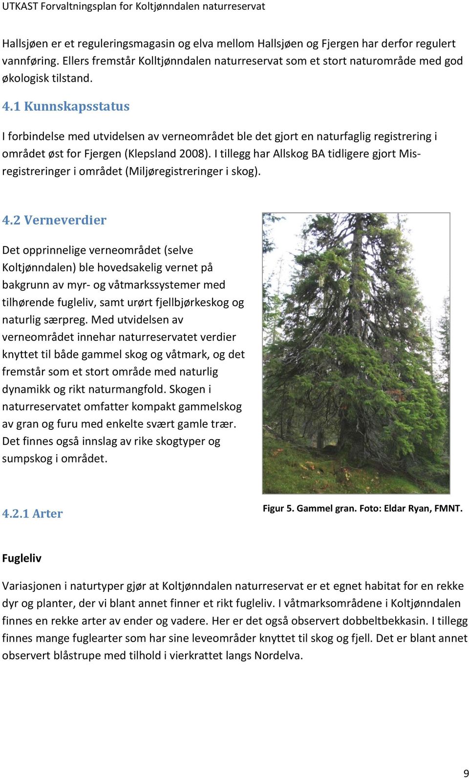 I tillegg har Allskog BA tidligere gjort Misregistreringer i området (Miljøregistreringer i skog). 4.
