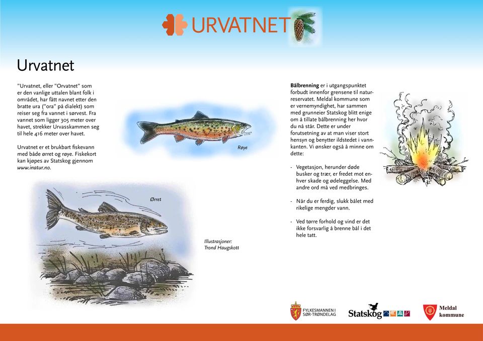 Fiskekort kan kjøpes av Statskog gjennom www.inatur.no. Røye Bålbrenning er i utgangspunktet forbudt innenfor grensene til naturreservatet.