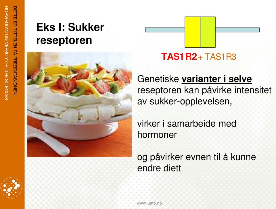 påvirke intensitet av sukker-opplevelsen, virker i samarbeide