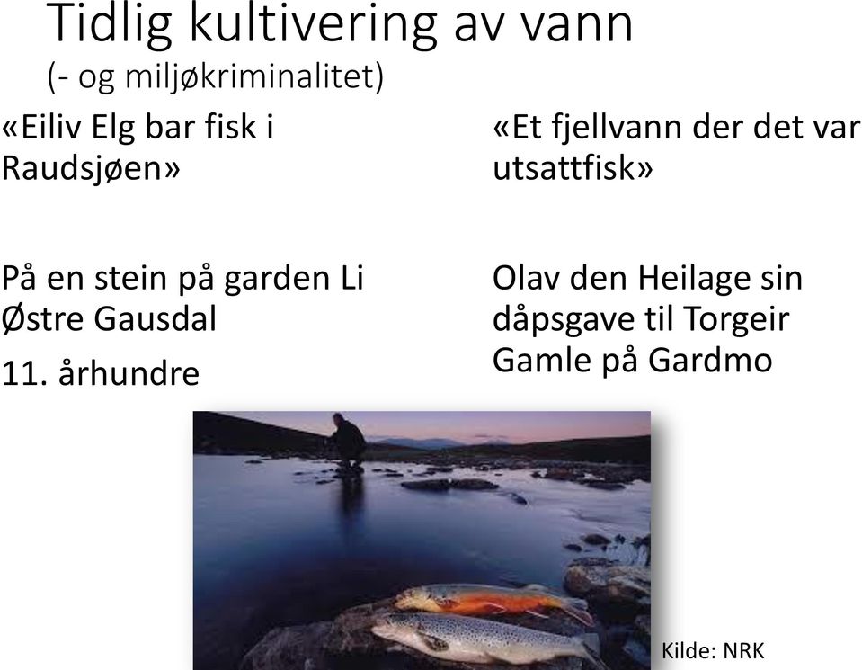 utsattfisk» På en stein på garden Li Østre Gausdal 11.