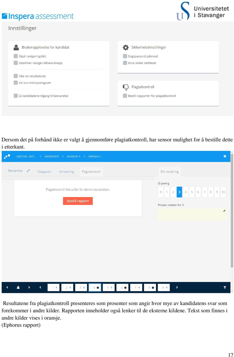 Resultatene fra plagiatkontroll presenteres som prosenter som angir hvor mye av kandidatens