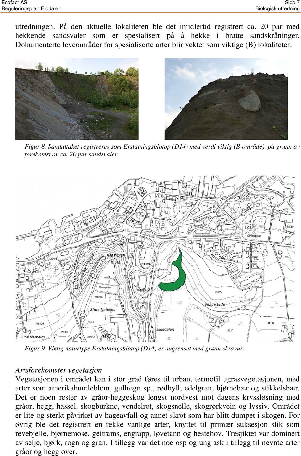 Sanduttaket registreres som Erstatningsbiotop (D14) med verdi viktig (B-område) på grunn av forekomst av ca. 20 par sandsvaler Figur 9.