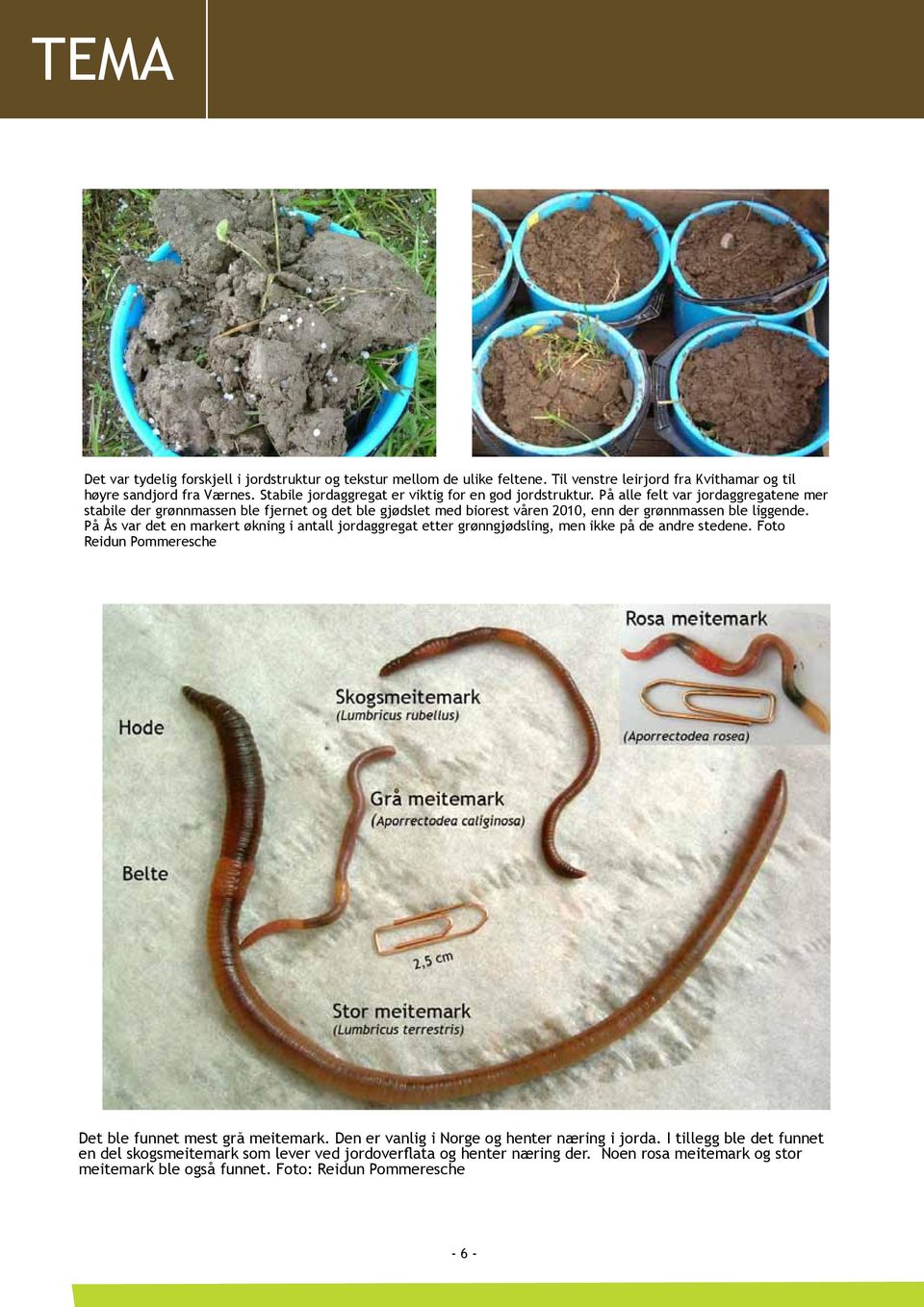 På alle felt var jordaggregatene mer stabile der grønnmassen ble fjernet og det ble gjødslet med biorest våren 2010, enn der grønnmassen ble liggende.