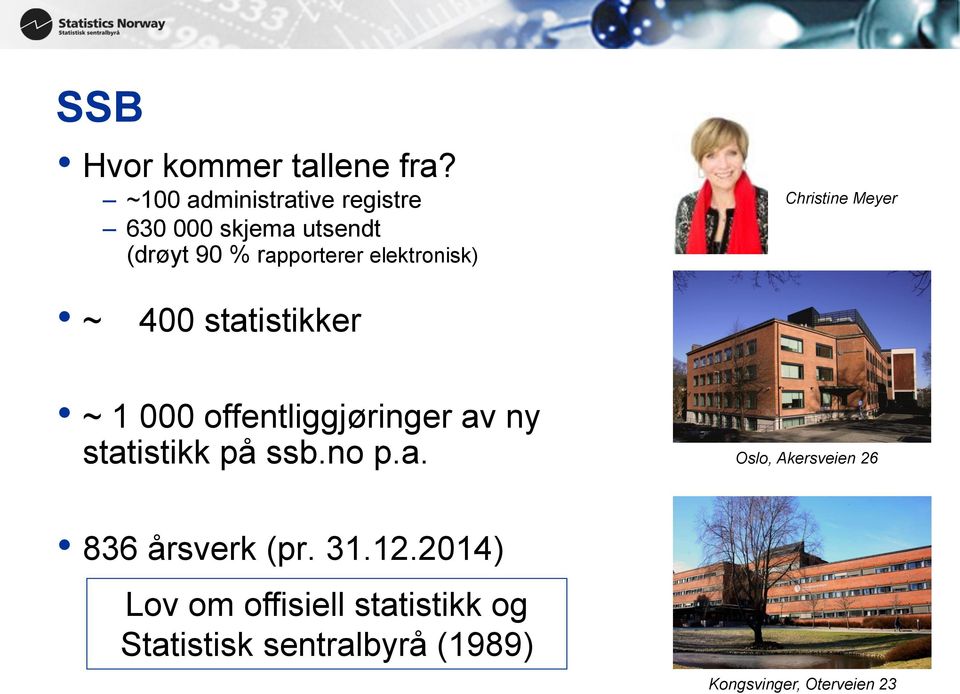 elektronisk) Christine Meyer ~ 400 statistikker ~ 1 000 offentliggjøringer av ny