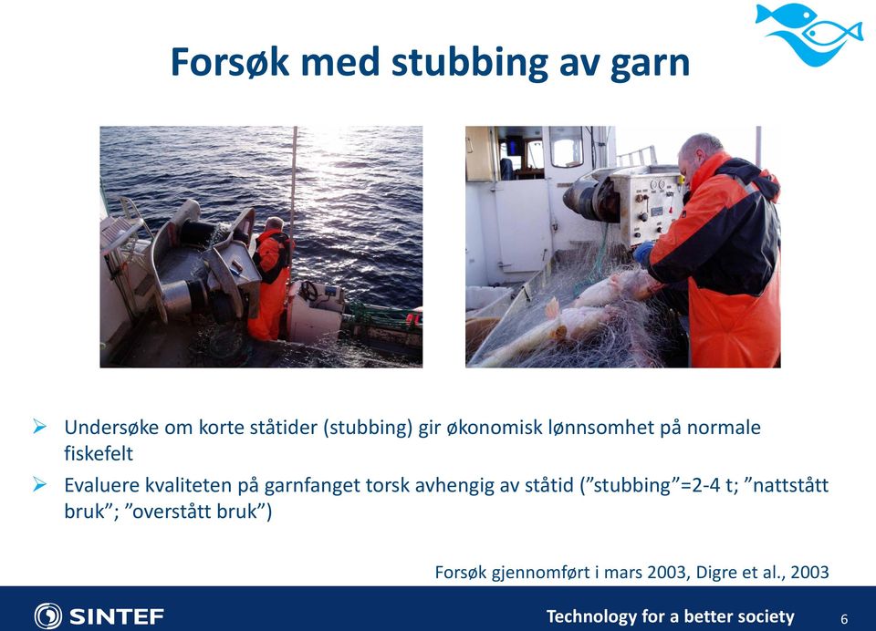 garnfanget torsk avhengig av ståtid ( stubbing =2-4 t; nattstått bruk