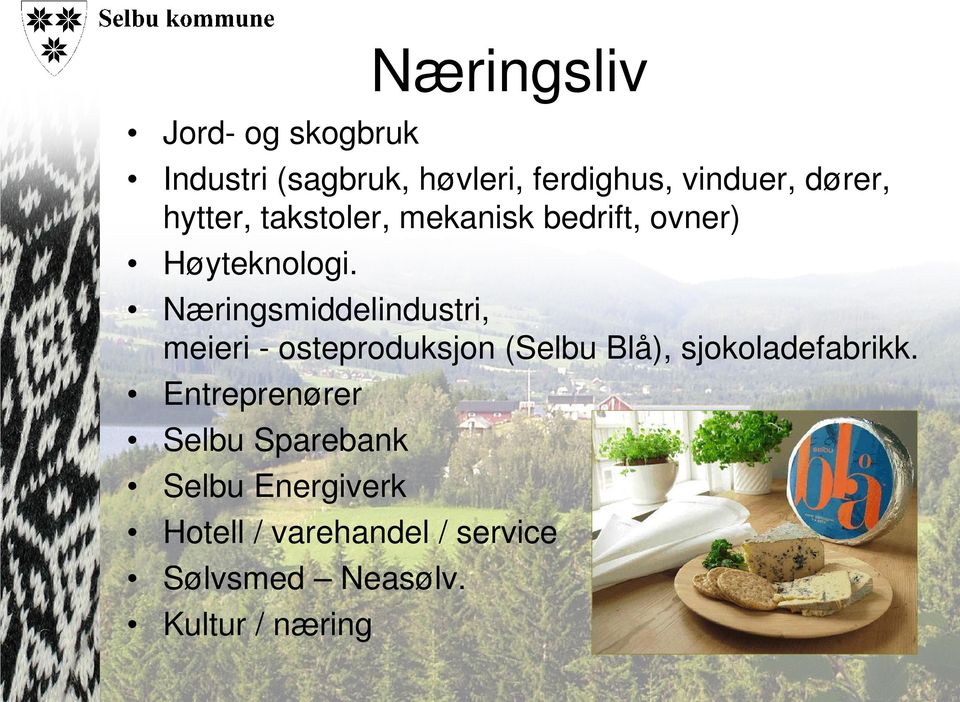 Næringsmiddelindustri, meieri - osteproduksjon (Selbu Blå), sjokoladefabrikk.