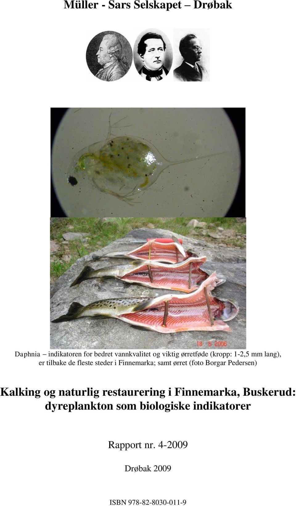 (foto Borgar Pedersen) Kalking og naturlig restaurering i Finnemarka, Buskerud: