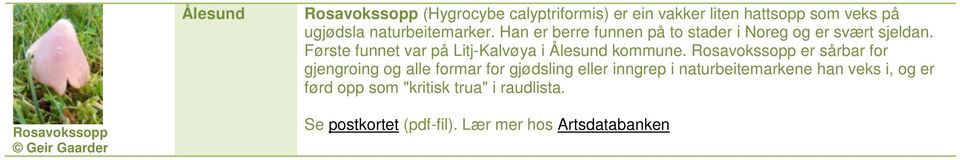 Første funnet var på Litj-Kalvøya i Ålesund kommune.