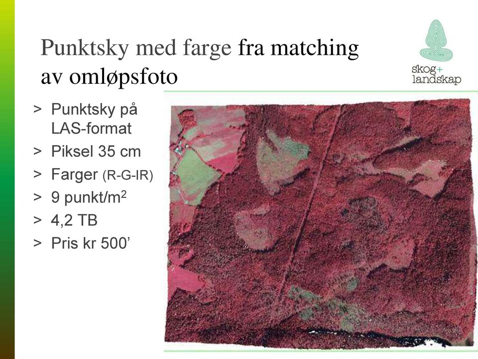 LAS-format > Piksel 35 cm > Farger