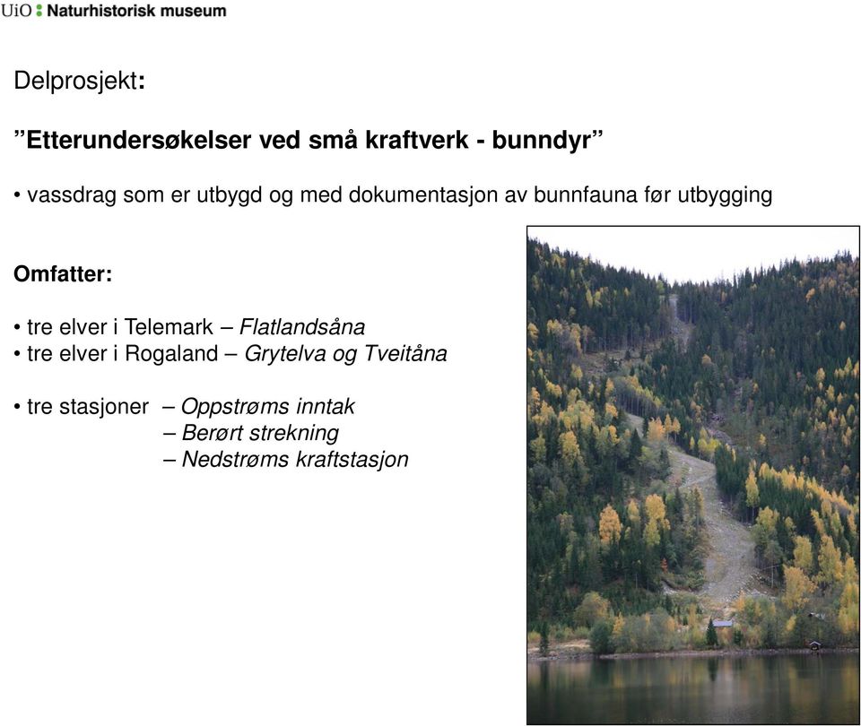 tre elver i Telemark Flatlandsåna tre elver i Rogaland Grytelva og