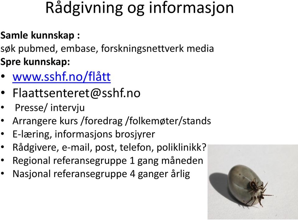 no Presse/ intervju Arrangere kurs /foredrag /folkemøter/stands E-læring, informasjons