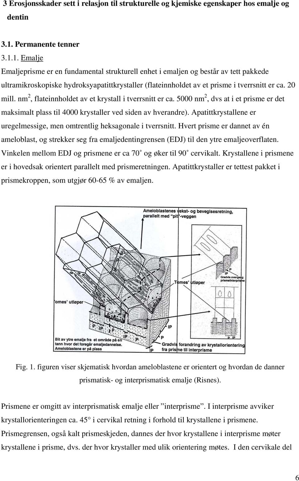 1. Emalje Emaljeprisme er en fundamental strukturell enhet i emaljen og består av tett pakkede ultramikroskopiske hydroksyapatittkrystaller (flateinnholdet av et prisme i tverrsnitt er ca. 20 mill.