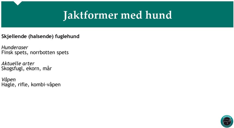 spets, norrbotten spets Aktuelle arter