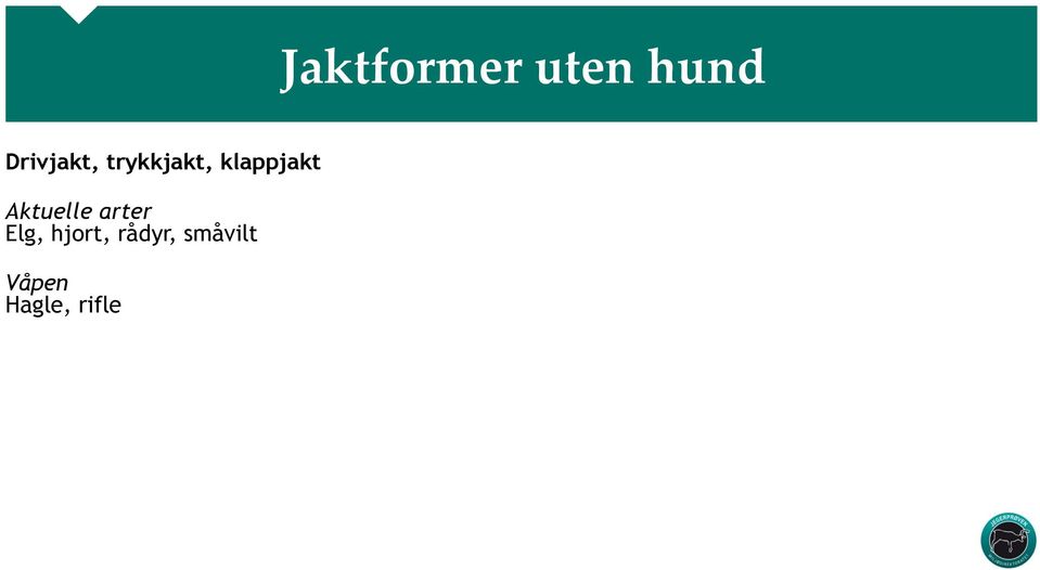 klappjakt Aktuelle arter