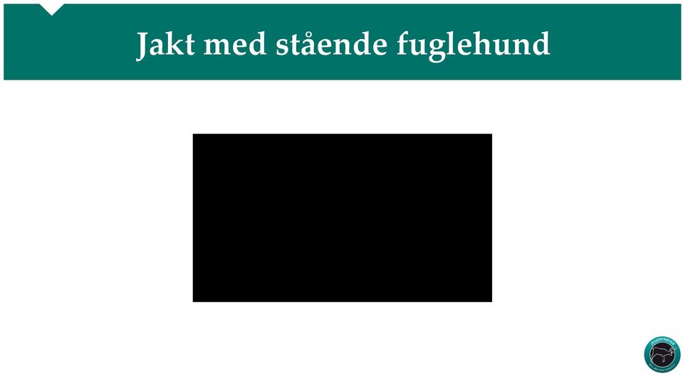 fuglehund