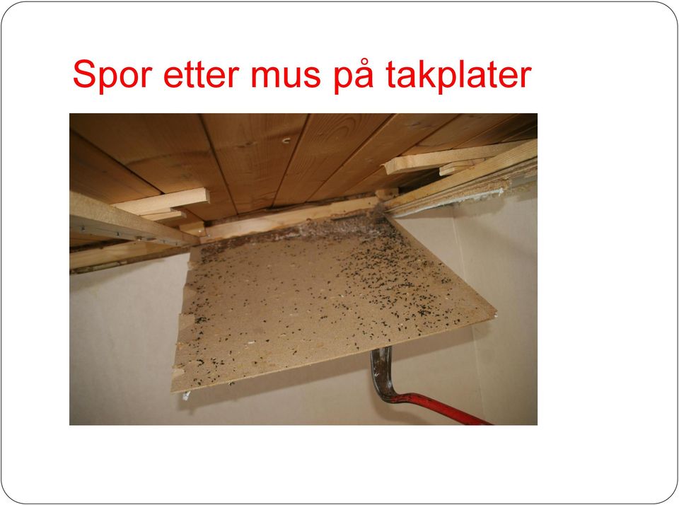 på