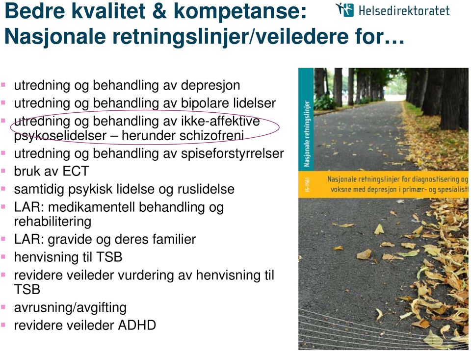 spiseforstyrrelser bruk av ECT samtidig psykisk lidelse og ruslidelse LAR: medikamentell behandling og rehabilitering LAR: