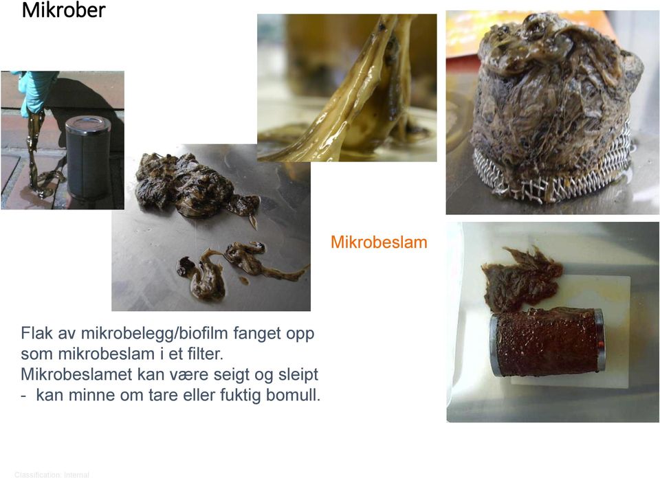 Mikrobeslamet kan være seigt og sleipt - kan