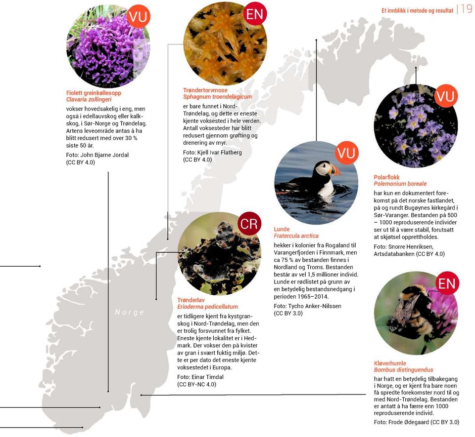 0) Trøndertorvmose Sphagnum troendelagicum er bare funnet i Nord- Trøndelag, og dette er eneste kjente voksested i hele verden.