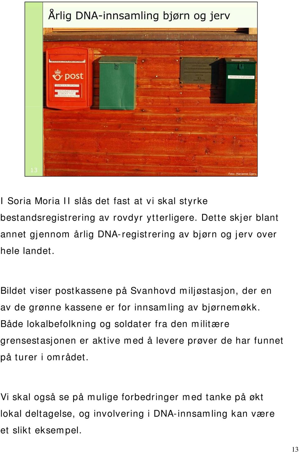 Bildet viser postkassene på Svanhovd miljøstasjon, der en av de grønne kassene er for innsamling av bjørnemøkk.