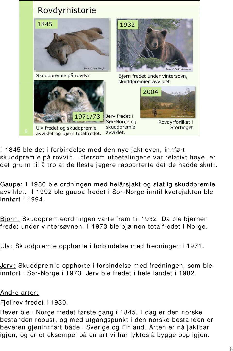 Da ble bjørnen fredet under vintersøvnen. I 1973 ble bjørnen totalfredet i Norge. Ulv: Skuddpremie opphørte i forbindelse med fredningen i 1971.