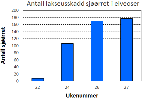 4.2 ANTALL LUSESKADD ØRRET UKE FOR UKE I 2015 Vi registrerte bare åtte tilbakevandrede sjøørret i uke 22, men seks av elveosene ble da ikke undersøkt.