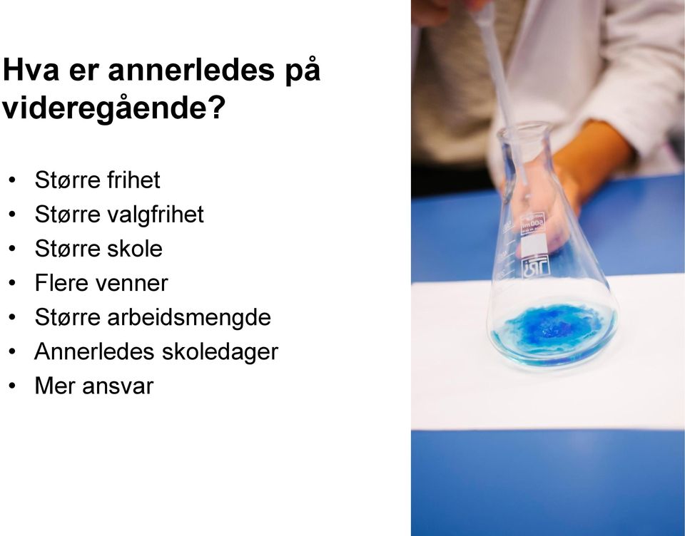 Større skole Flere venner Større