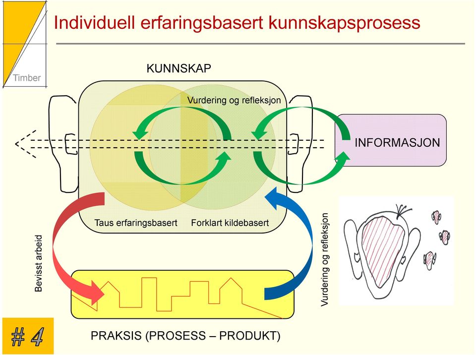 Bevisst arbeid Taus erfaringsbasert Forklart