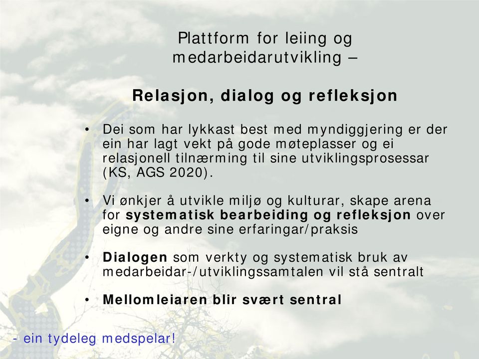 Vi ønkjer å utvikle miljø og kulturar, skape arena for systematisk bearbeiding og refleksjon over eigne og andre sine