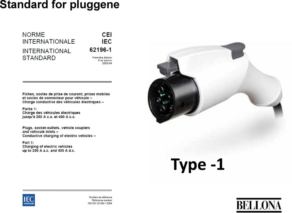 pluggene