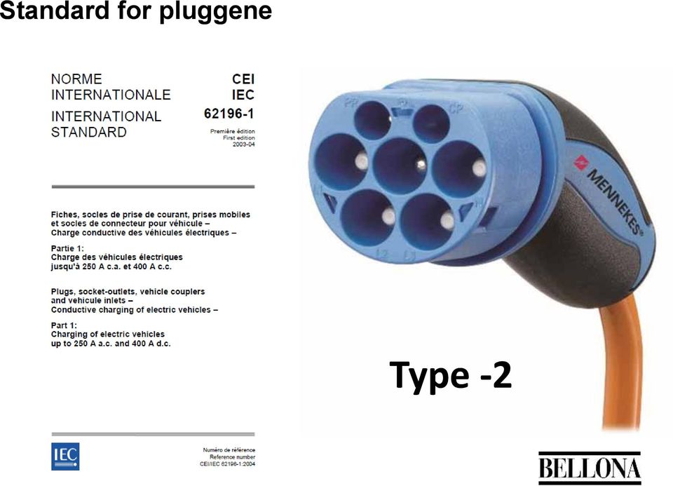 pluggene