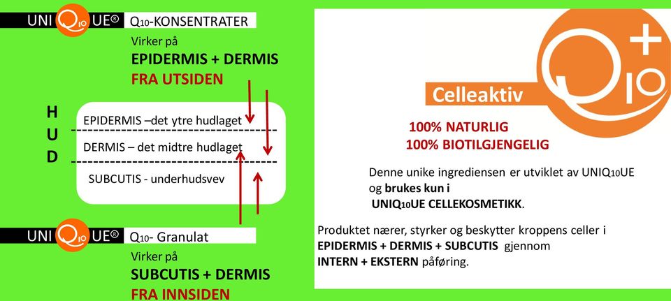 NATURLIG 100% BIOTILGJENGELIG Denne unike ingrediensen er utviklet av Q10UE og brukes kun i Q10UE