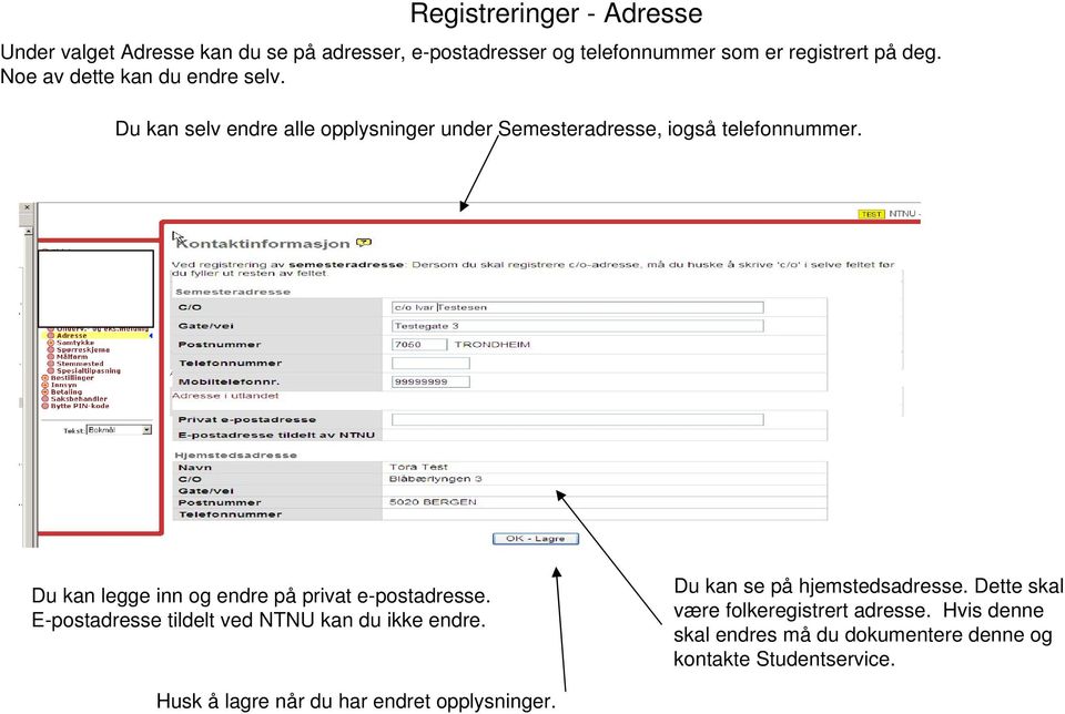 Du kan legge inn og endre på privat e-postadresse. E-postadresse tildelt ved NTNU kan du ikke endre. Du kan se på hjemstedsadresse.