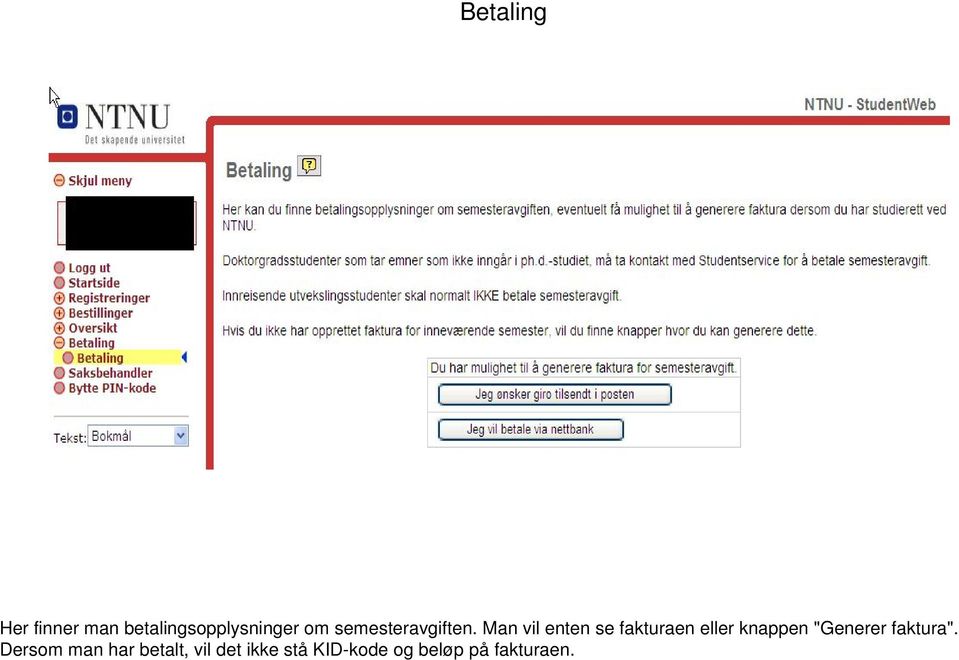 Man vil enten se fakturaen eller knappen "Generer
