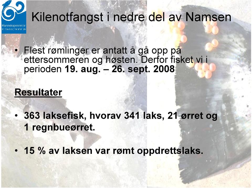 Derfor fisket vi i perioden 19. aug. 26. sept.