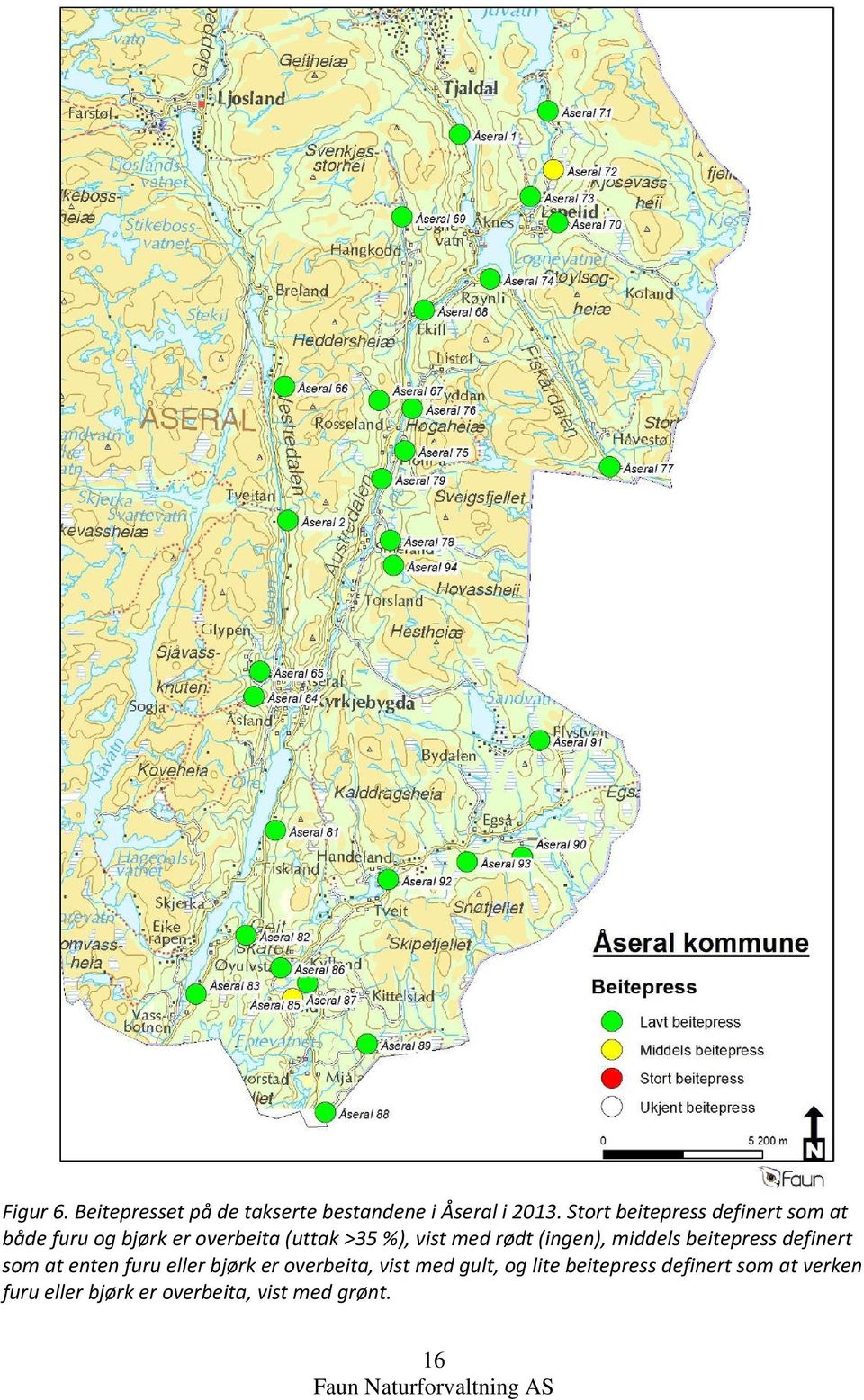 med rødt (ingen), middels beitepress definert som at enten furu eller bjørk er