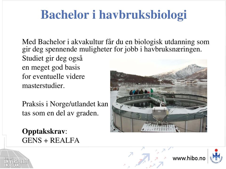 Studiet gir deg også en meget god basis for eventuelle videre masterstudier.