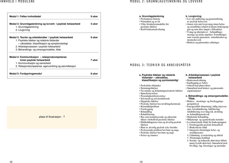 Behandlings- og omsorgsmodeller, tiltak 9 uker 5 uker 9 uker a. Grunnlagstenkning Psykiatriens historie Normalitet og avvik Ulike forståelsesmodeller for psykiske lidelser Reell brukermedvirkning b.