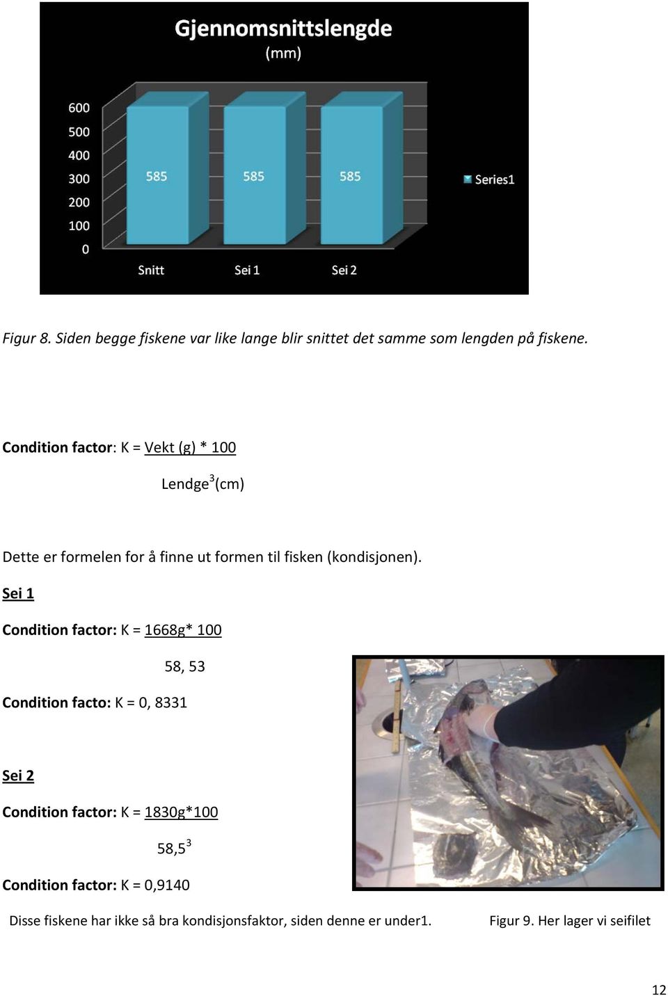 Sei 1 Condition factor: K = 1668g* 100 58, 53 Condition facto: K = 0, 8331 Sei 2 Condition factor: K = 1830g*100