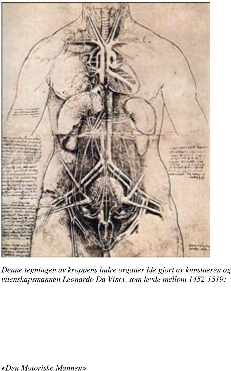 vitenskapsmannen Leonardo Da Vinci,