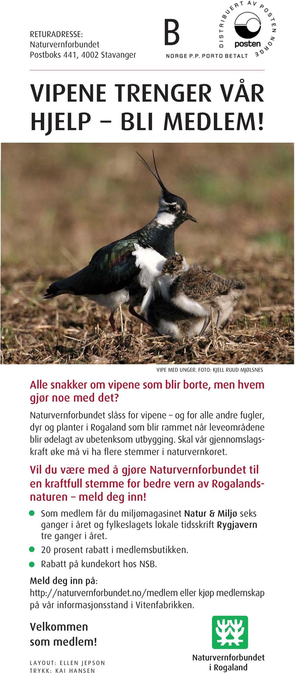Naturvernforbundet slåss for vipene og for alle andre fugler, dyr og planter i Rogaland som blir rammet når leveområdene blir ødelagt av ubetenksom utbygging.